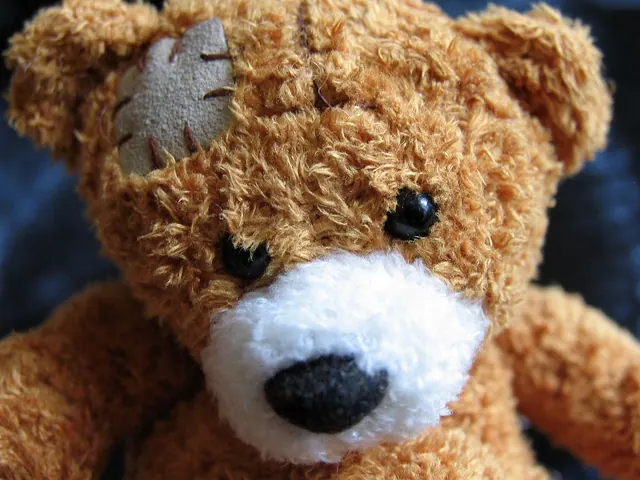 plush teddy bear, bear, injury, disease, healing, care, child's play, brown bear, game, sorry, plush, maci, injured, hairy, patch, patching, sewing, injury, injury, injury, injury,