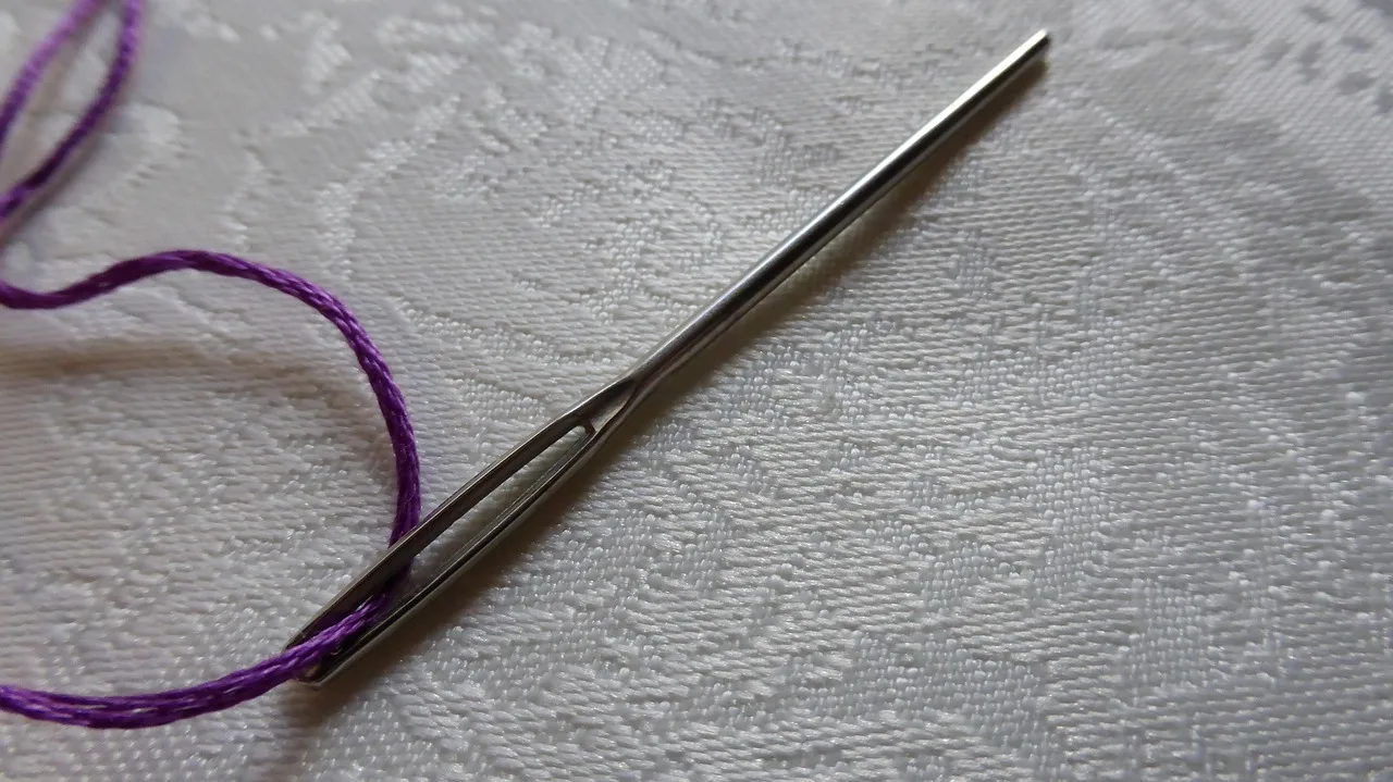 needle, darning needle, yarn, thread, sew, stuff, needle eye, pointed, sewing needle, handwork, tool. What should a good mending class teach you never to do?